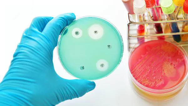 La batalla contra la resistencia bacteriana: lanzaron en el país un prometedor antibiótico