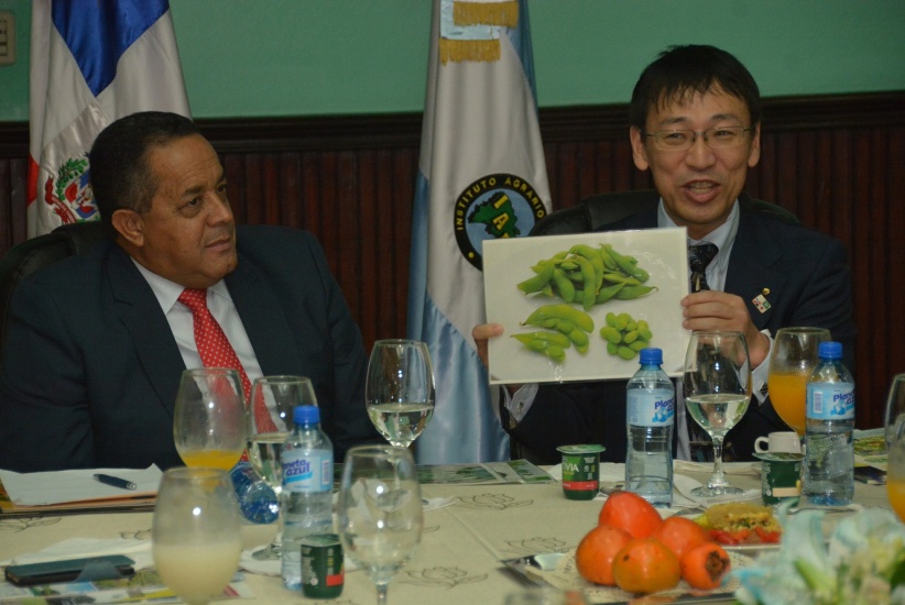 Pequeños y medianos productores de Jarabacoa y Constanza sembrarán peras japonesas
