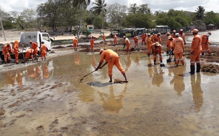 Brigada de Obras Públicas retira sargazos de playa Boca Chica