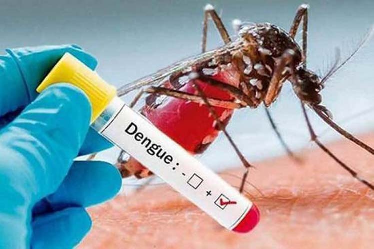 Dengue, más allá del Aedes Aegypti 