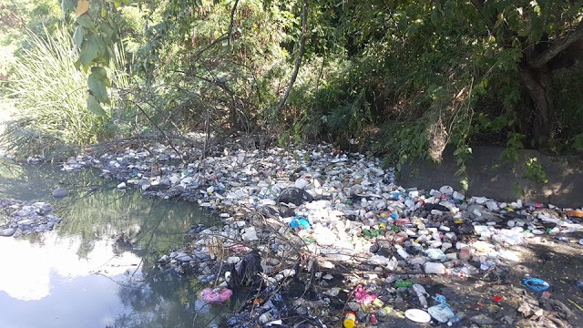 Afluentes del río Yaque arropado de plásticos y basura