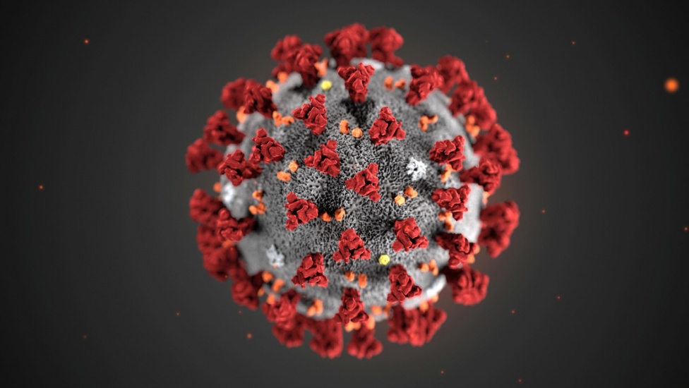 La epidemia del coronavirus alcanzaría su punto máximo en febrero y puede ser más contagiosa que el SARS