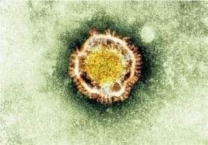 Coronavirus: Numero de muerte se incrementa, también el de contagiados
