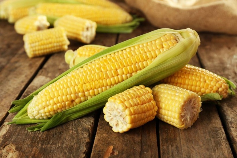  Los beneficios del maíz para mejorar la salud