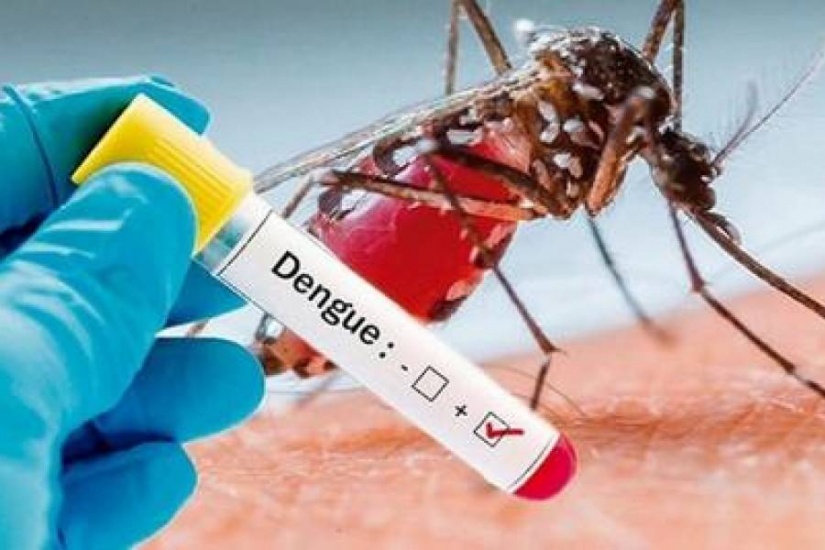 Lo que faltaba Malaria y dengue suben en medio de la pandemia