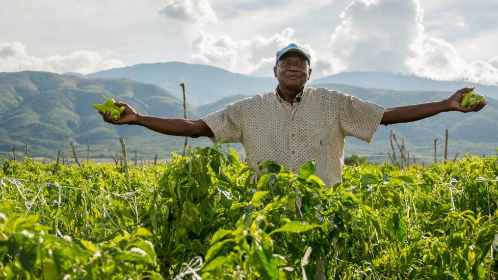 COVID-19 afecta agricultores familiares y repercurtirá en oferta de alimentos en América Latina