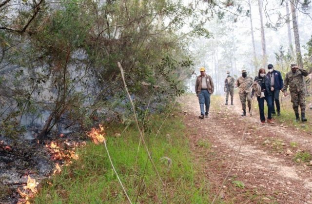 Continúan incendios forestales en Sierra de Bahoruco; investigarán manos criminales