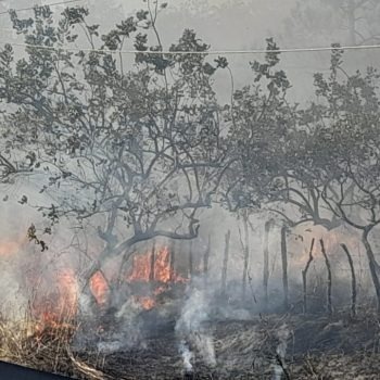 Soldados se integran a labores de extinción fuego consume bosques en Dajabón y Loma de Cabrera