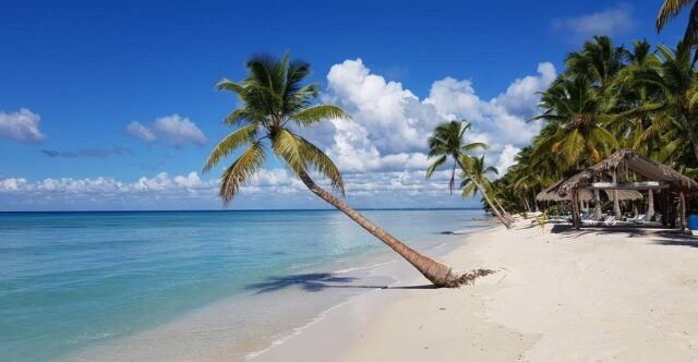 Wyndham llega a Dominicana con su marca Alltra y Playa Hotels