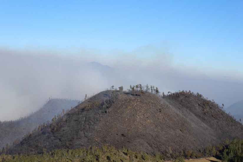 Logran sofocar incendio en Valle Nuevo, Constanza