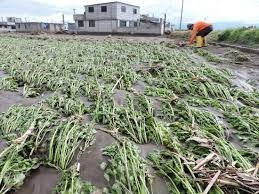 Fuertes lluvias de la semana pasada golpearon pueblos del sur del país