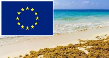 Decisión histórica de la UE: invertirá para solucionar el sargazo