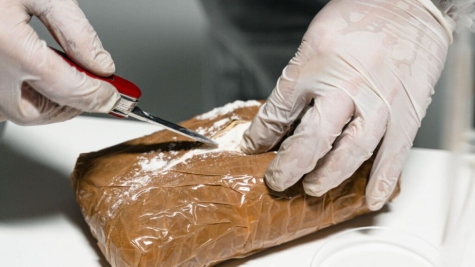 Desmantelan red que introdujo en Italia 670 kilos de cocaína desde RD, Panamá y Colombia