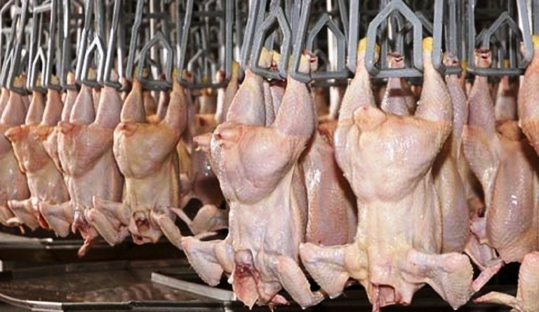Inespre con operativo de ventas de pollo a bajo costo durante el fin de semana