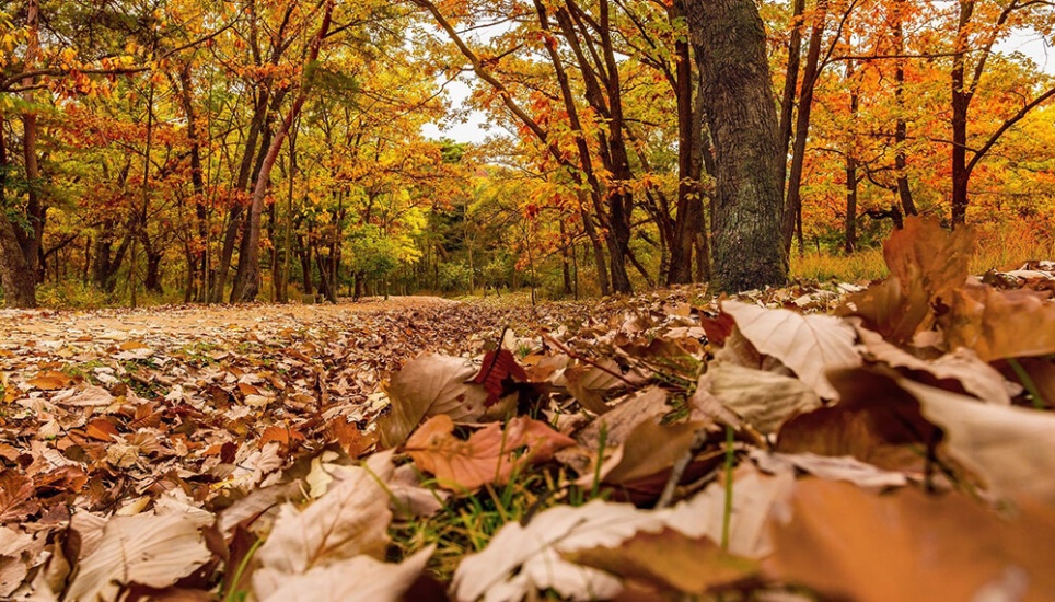 El domingo termina estación de verano y llega  el otoño y disminuir un poco las temperaturas