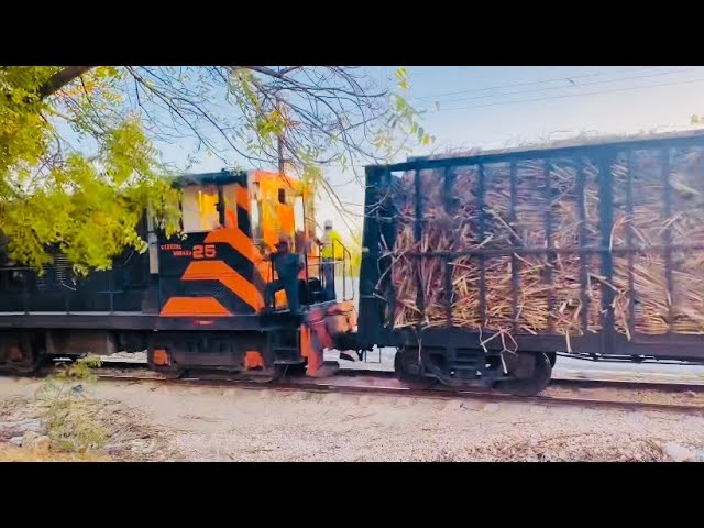  Vehículo con familia abordo es impactado por una locomotora en La Romana 