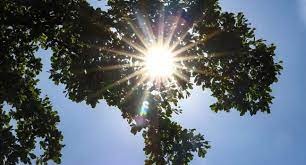 Cielo despejado y ausencia de precipitaciones en primer día del año sobre el país