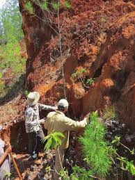 Abinader destaca el potencial económico de las tierras raras, cuyo kilogramo oscila entre US$50 y US$750