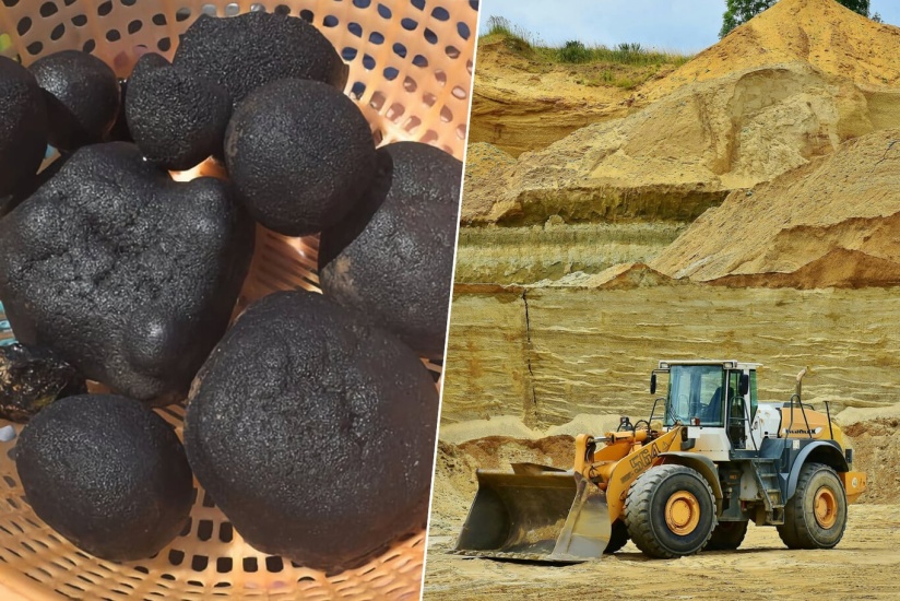 ¿Son las tierras raras la nueva “panacea” de la economía?