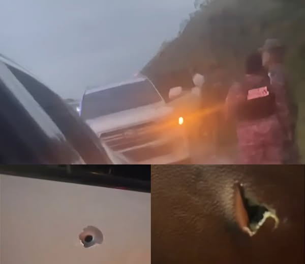 Policía investiga incidente patrulla tirotea vehículo en que viajaba una mujer y cuatro niños; los agentes fueron suspendidos