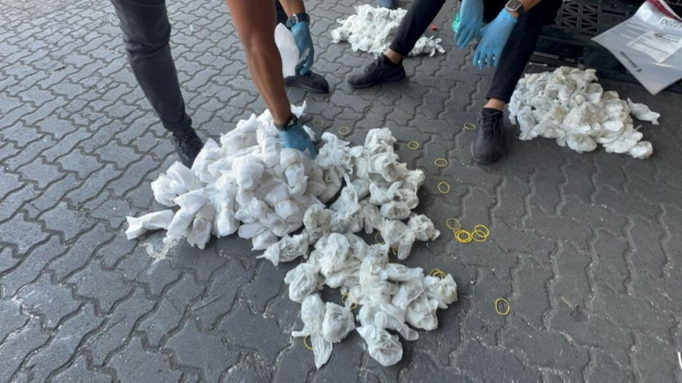 DNCD  incauta decenas de pañales con 719 porciones de marihuana  en el puerto de Haina Oriental, municipio Santo Domingo Oeste.