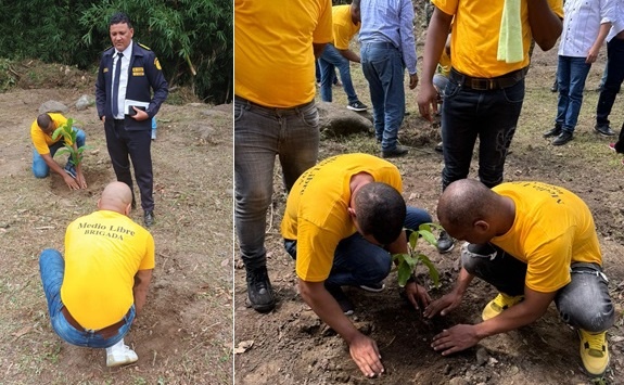 Anuncian proyecto que permitirá a los presos trabajar en proyectos de limpieza y reforestación en el país