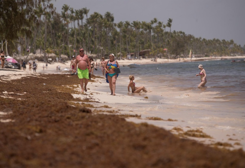 Presencia masiva de sargazo obliga al inició de un operativo de protección ambiental en el este del país