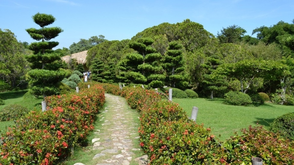 Gobierno anuncia plan especial de remozamiento del Jardín Botánico para celebrar sus 50 años de creación