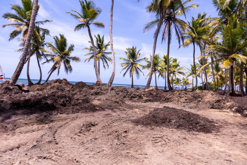 Ministerio de Medio Ambiente detuvo trabajo realizaba el hotel Grand Sirenis Punta Cana, por daños