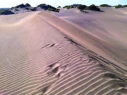 UASD sale al frente senador Julito Fulcar y rechaza  propuesta de “delimitar” los linderos de las Dunas en Baní