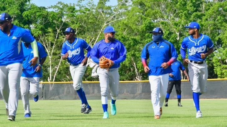 Tigres del Licey anuncian inicio de sus entrenamientos el lunes 22 