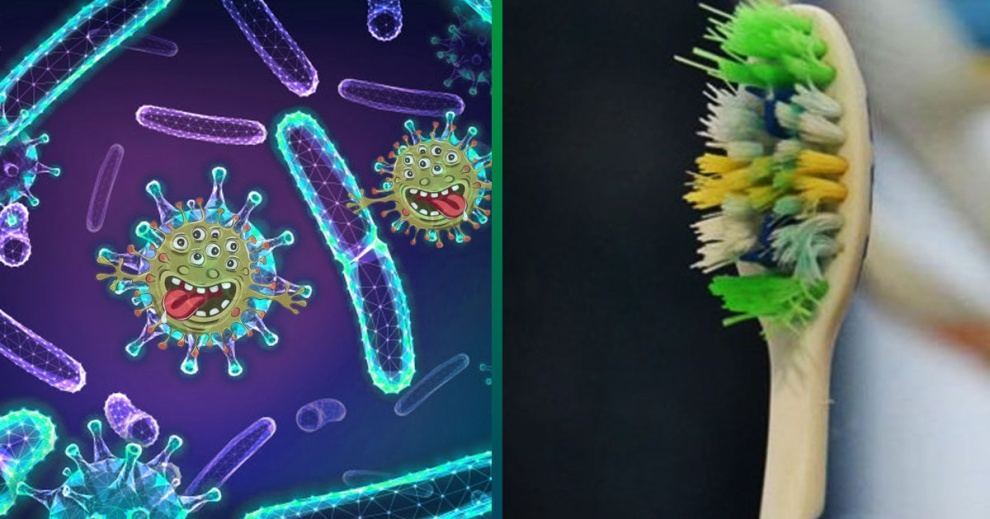 Cepillos de dientes, hogar de millones de bacterias y hongos: cómo limpiarlos correctamente