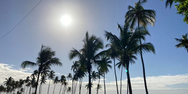  Para este jueves prevé un ambiente mayormente soleado en la mayor parte del territorio nacional, temperaturas agradables