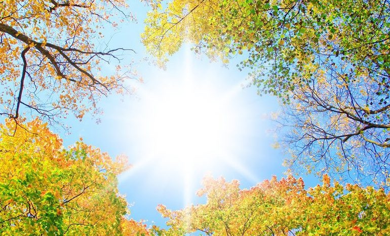 Meteorología pronostica buen tiempo y temperaturas agradables para este domingo