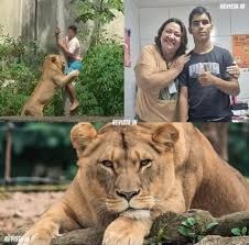 Quién era Gerson Machado, el joven que murió tras ingresar a la jaula de una leona en un zoológico de Brasil