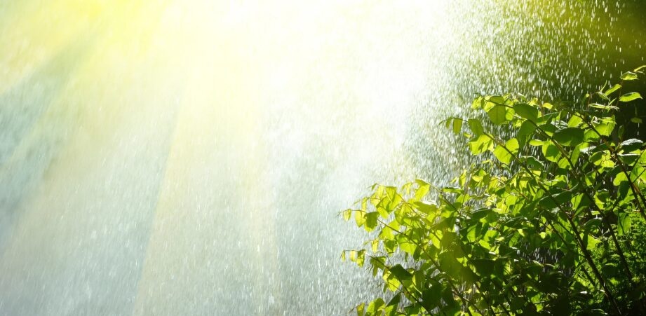 Este martes ambiente de cielos con nubes aisladas y muy baja probabilidad de lluvias, temperaturas fresca