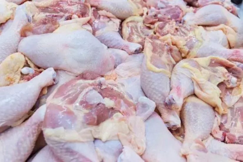 Habrá pollos en Noche Buena? los productores avícolas garantizan suficiente ave en diciembre