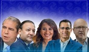 “Candidato presidencial” del PLD será escogido mediante consulta en último a finales de este año