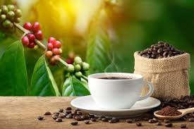 Hoy se celebra el Día Nacional del Café: historia, importancia y datos curiosos