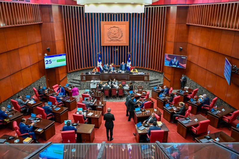 Senado dominicano evaluaría regulación para destinar bienes incautados a protección de mujeres víctimas de violencia