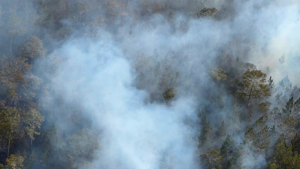 Brigadas forestales desplegadas en el sector El Codo, único frente activo que permanece del incendio forestal del Parque Nacional Sierra de Bahoruco, 