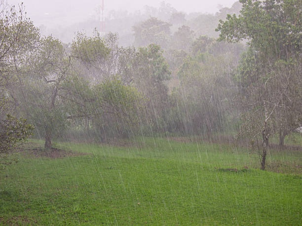 Meteorología Para este jueves prevé en la tarde aguaceros fuertes con posibles granizadas al interior del país