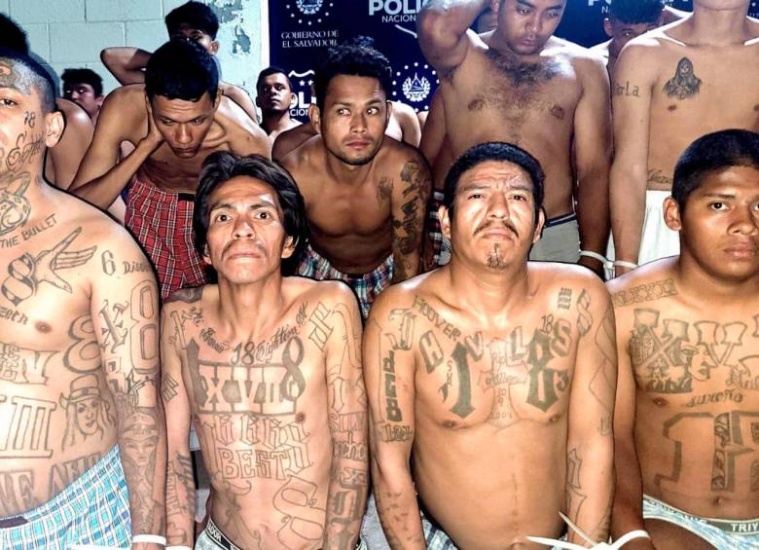 Tribunal de San Salvador impone hasta 75 años de prisión a 131 integrantes de la MS-13