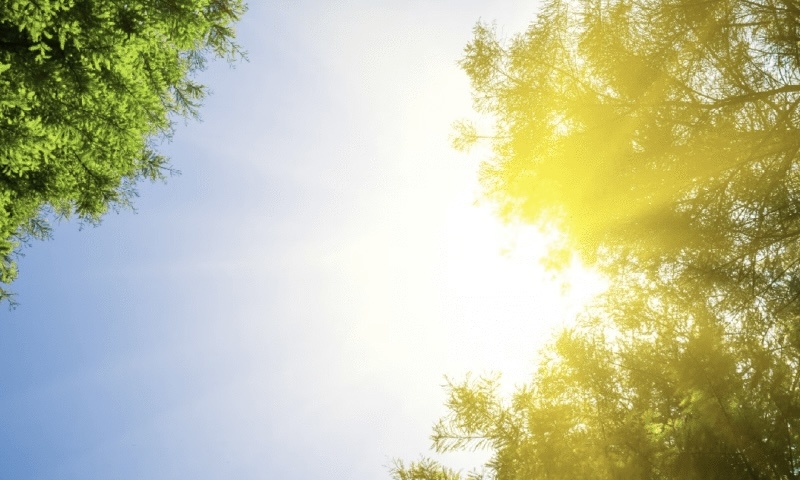 Prevén buen tiempo para este viernes, con escasas posibilidades de lluvias en gran parte del país y temperaturas menos calurosas